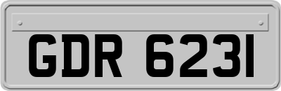 GDR6231