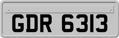 GDR6313