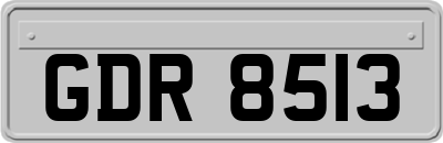 GDR8513