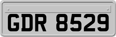 GDR8529