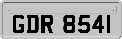 GDR8541