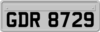GDR8729