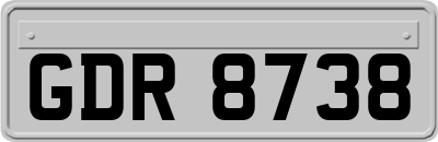 GDR8738