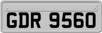 GDR9560