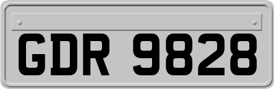 GDR9828
