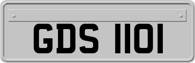 GDS1101