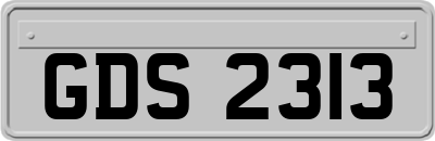 GDS2313