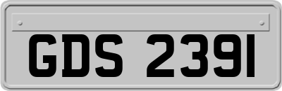 GDS2391