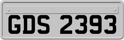 GDS2393