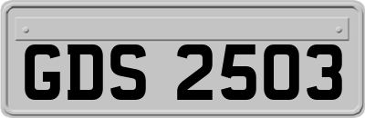 GDS2503