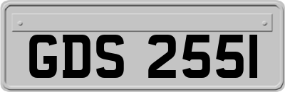 GDS2551
