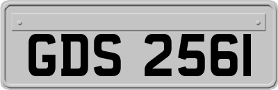 GDS2561