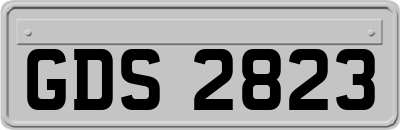 GDS2823