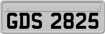 GDS2825