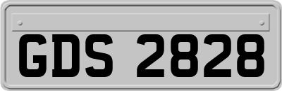 GDS2828