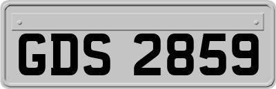 GDS2859