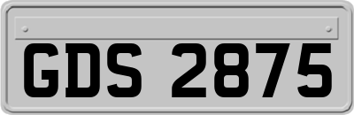 GDS2875
