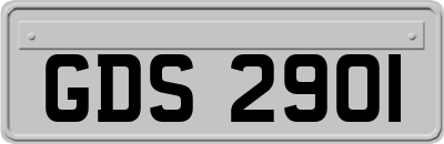 GDS2901
