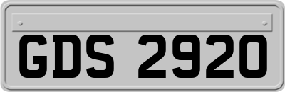 GDS2920