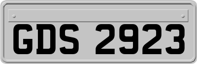 GDS2923