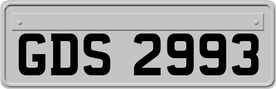 GDS2993