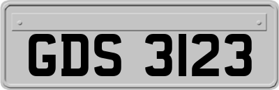 GDS3123