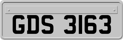 GDS3163