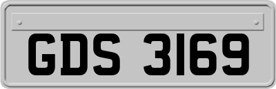 GDS3169