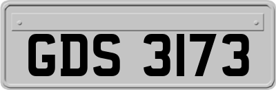 GDS3173