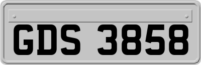 GDS3858