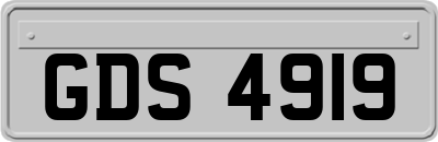 GDS4919