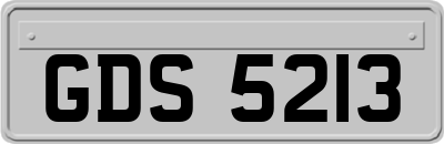 GDS5213