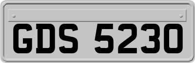 GDS5230