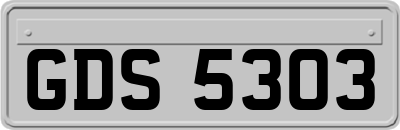GDS5303