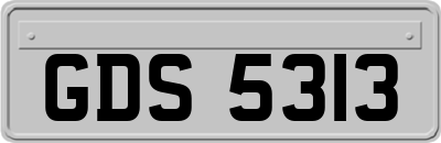 GDS5313