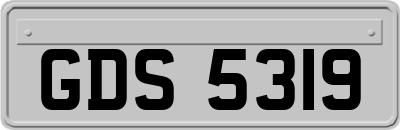GDS5319