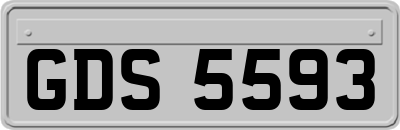 GDS5593