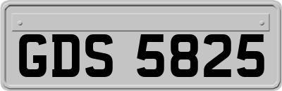 GDS5825