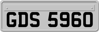 GDS5960