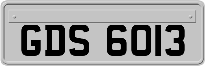 GDS6013