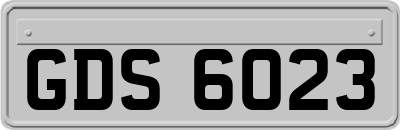 GDS6023