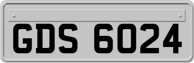 GDS6024