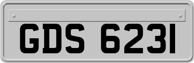 GDS6231