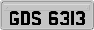 GDS6313