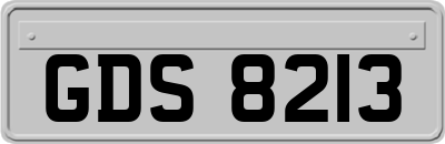 GDS8213