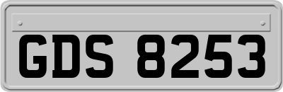 GDS8253