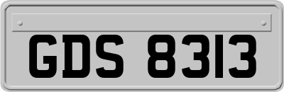 GDS8313