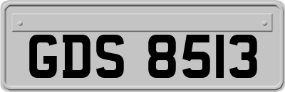 GDS8513
