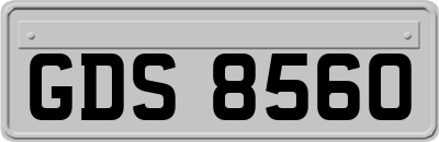 GDS8560