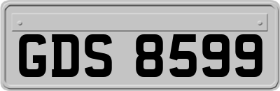 GDS8599
